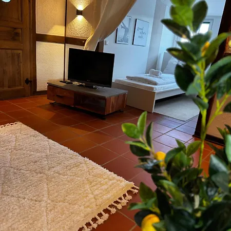 Apartment Einfachheimisch - Dachstuebchen - Dart - Netflix - Bar *